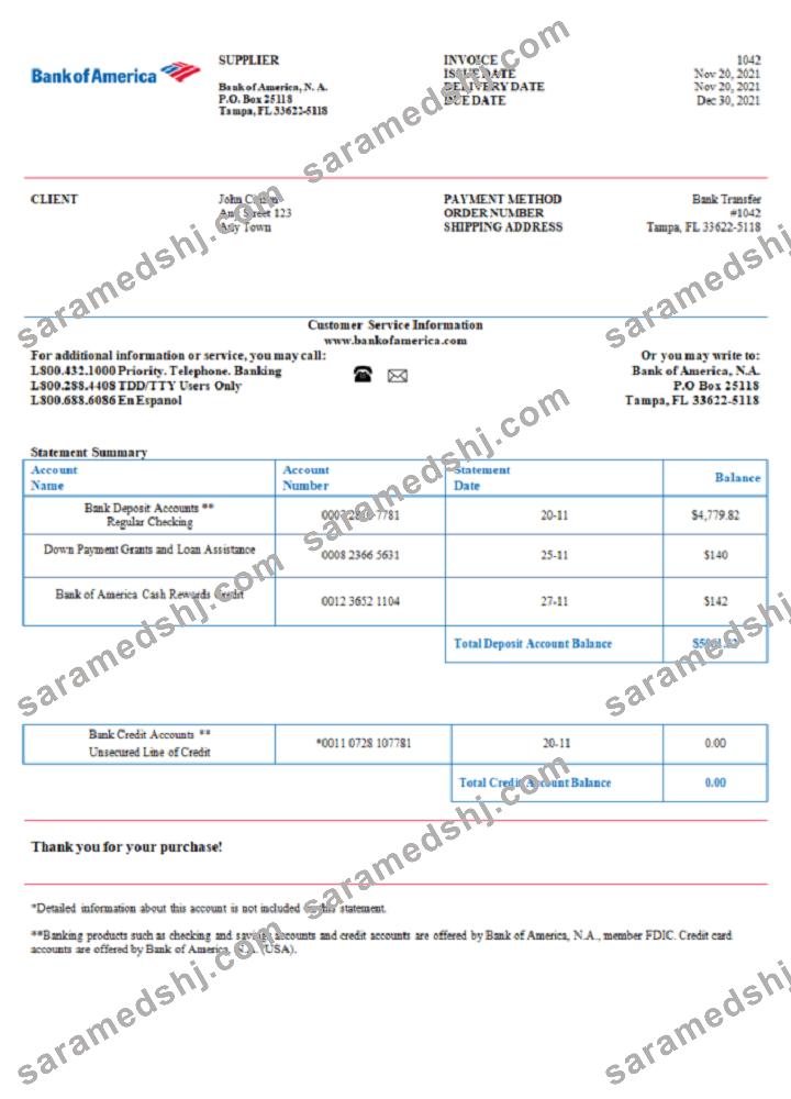 USA Bank of America invoice